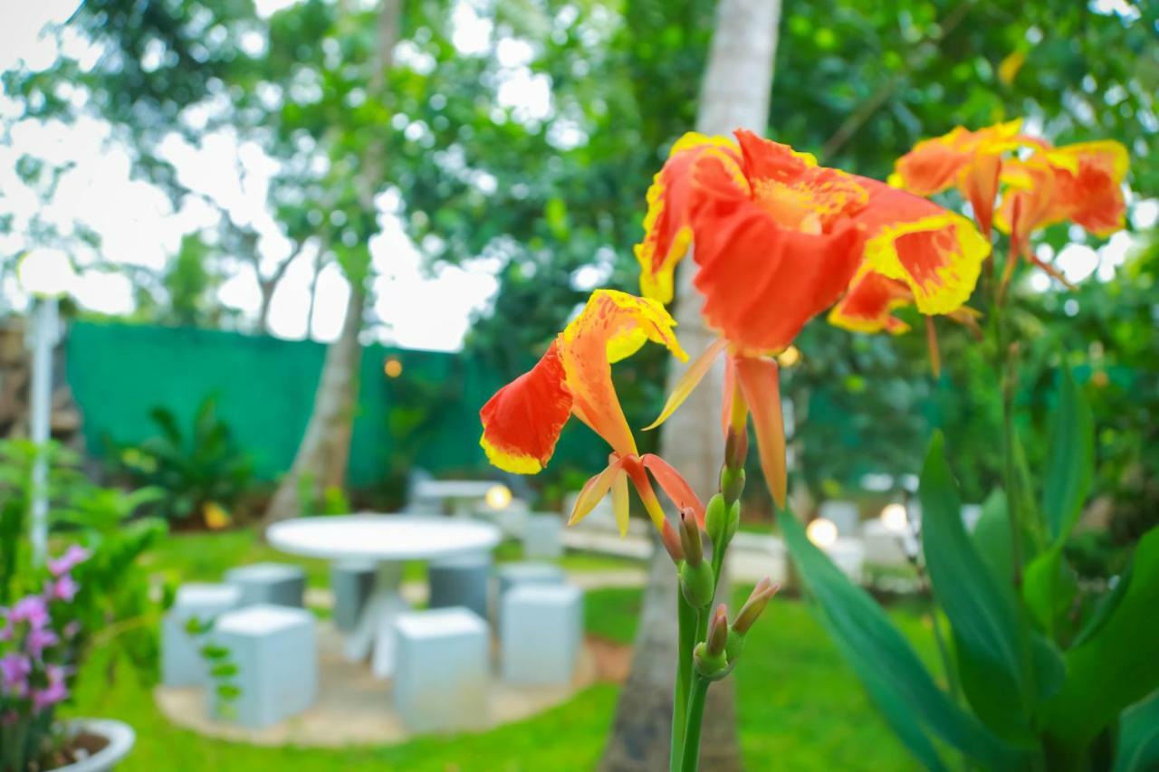 Hotel Moonstone Anuradhapura Exterior photo